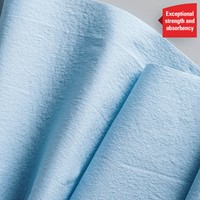 Poetsrol WypAll L20 2-laags 325mmx190m 500 vel blauw 7301-1