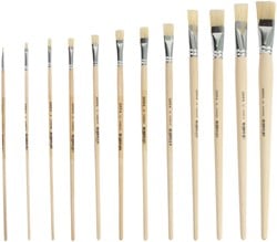 Kwast Qrea varkenshaar set à 12 breedtes