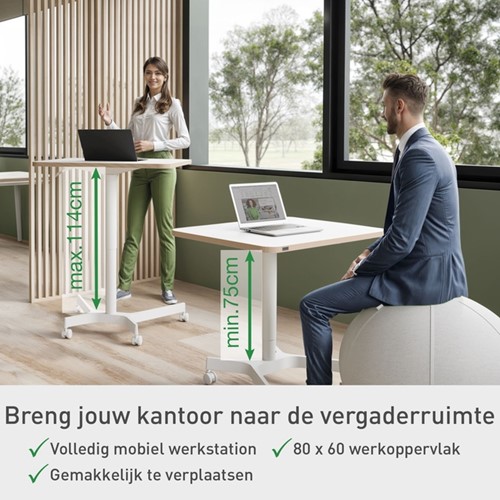 Zit-Sta bureau Leitz Ergo compact-7